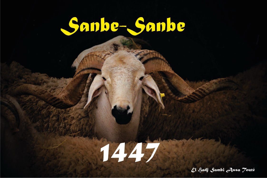 sambitoure's tweet photo. https://t.co/v7J8Ch02XL