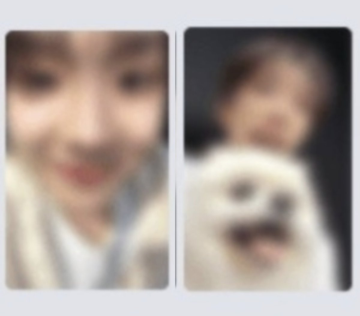 so0nagi's tweet photo. if i dont get these bread loaf and unaki x jjangyi photocards what is even the point of life anymore https://t.co/NMtTyfVdeP