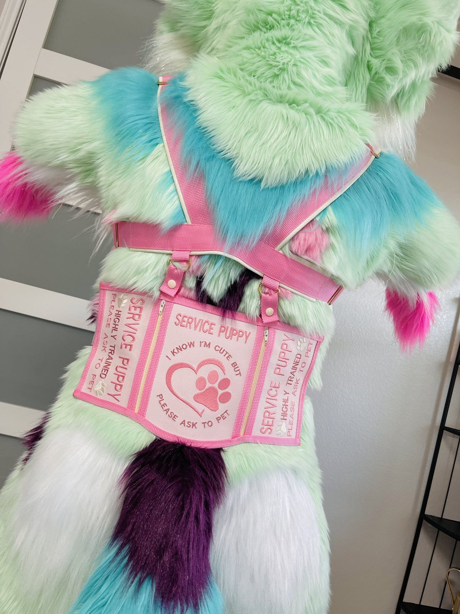 PinkGatorPress 🔜 TFS tweet media