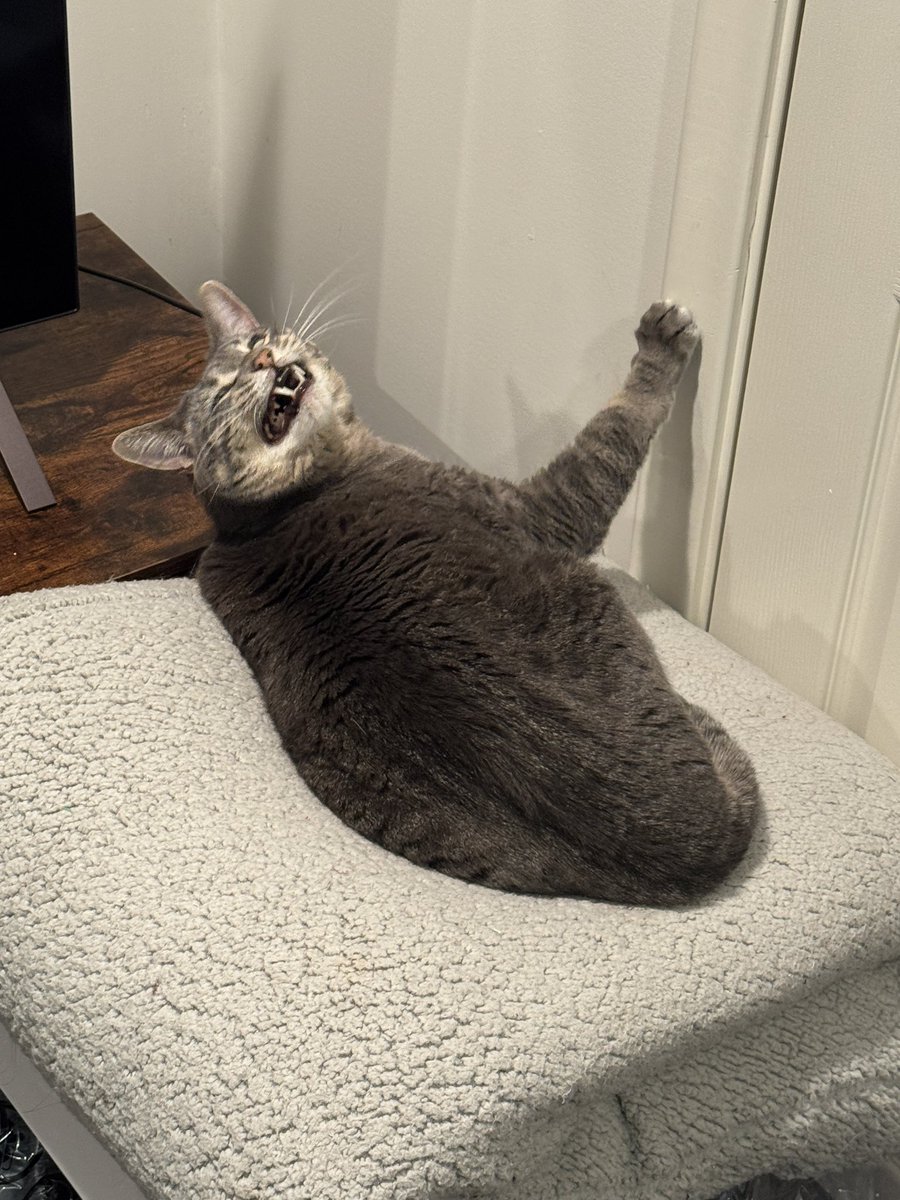 TweetsByBug's tweet photo. scrunge maxxing https://t.co/HAx4lACAcQ