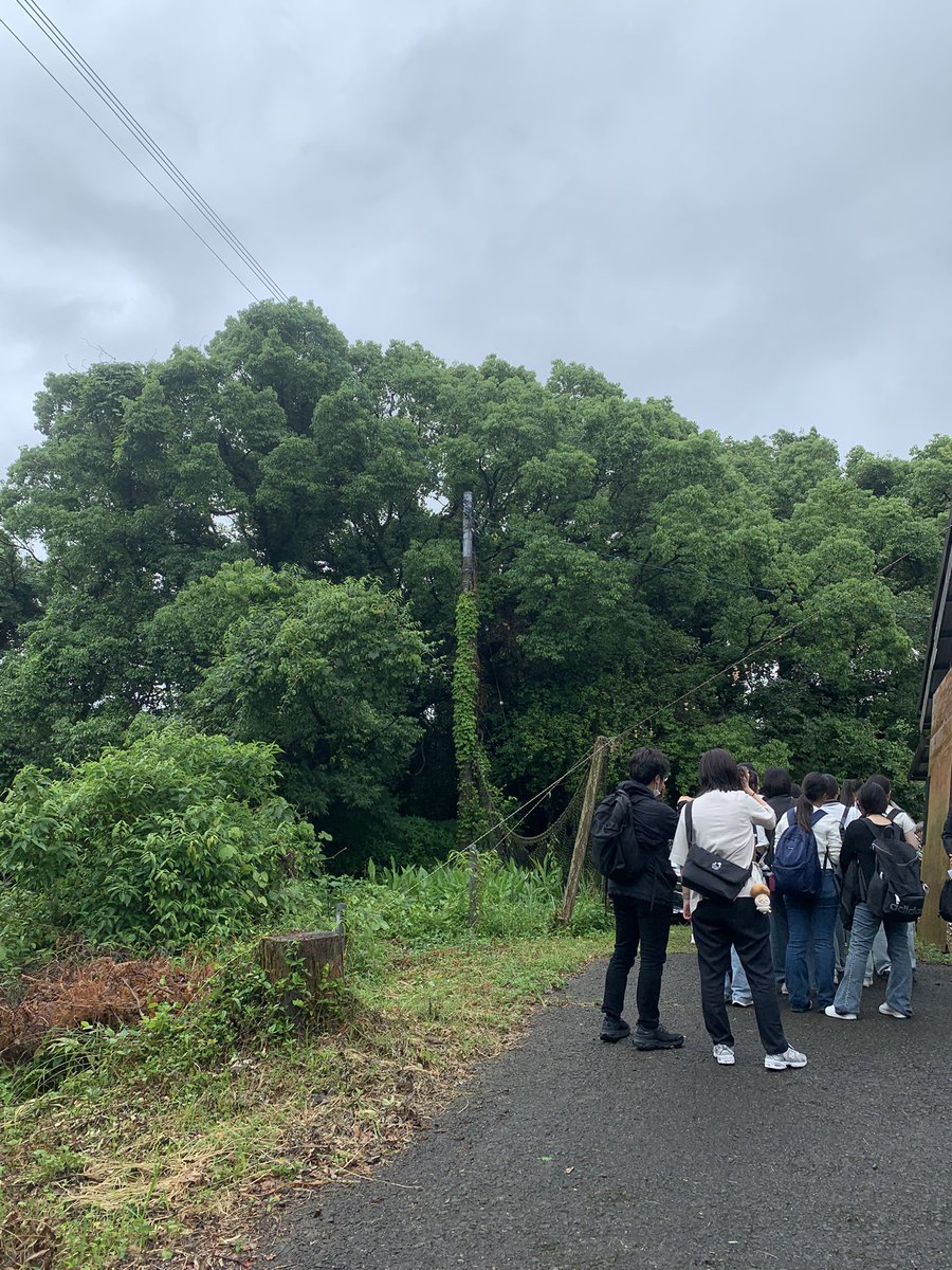 MDC_Soshisha's tweet photo. 雨が降っている中ですが、皆さんの見学姿をここで見られてとても嬉しいです。 https://t.co/t2BEQzeD8Q