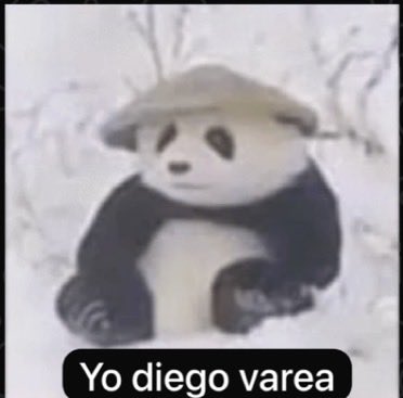 0xr0d's tweet photo. Puro level https://t.co/xhVDsVmlT5
