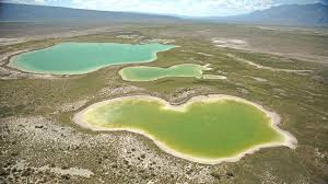 ElViejoPelon27's tweet photo. ¿Cuántos años tenías cuando te enteraste que las pozas de Cuatro Ciénegas, Coah son las únicas en el mundo que tienen estromatolitos, las bacterias marinas responsables de oxigenar la atmósfera hace 3500 millones de años, creando así el mundo actual?

¡A vedá!

#CuantosAñosTenías https://t.co/mnA9c7llyc
