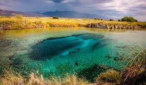 ElViejoPelon27's tweet photo. ¿Cuántos años tenías cuando te enteraste que las pozas de Cuatro Ciénegas, Coah son las únicas en el mundo que tienen estromatolitos, las bacterias marinas responsables de oxigenar la atmósfera hace 3500 millones de años, creando así el mundo actual?

¡A vedá!

#CuantosAñosTenías https://t.co/mnA9c7llyc