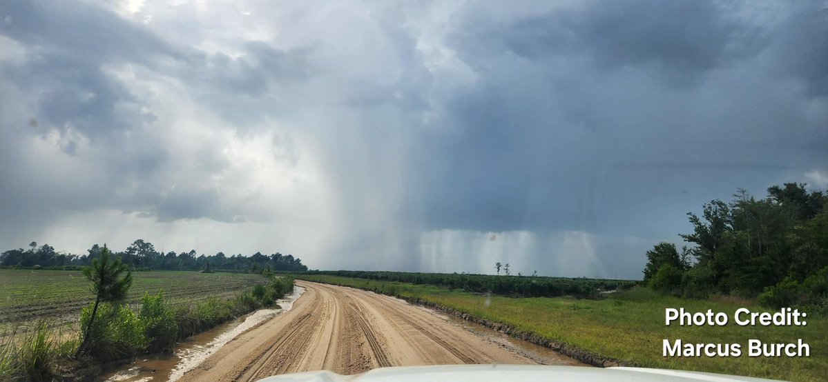 windiraper's tweet photo. Photo Credit
Marcus Burch

Taken 4:42 pm
Coffee County, Georgia
Nicholls/Chatterton area facing northeast 

@ChrisWALBwx
@foxweather @jnelsonWJCL @NWSJacksonville @WALBWeather @weatherchannel @WXgirlKerri https://t.co/dXMSmjKxDj