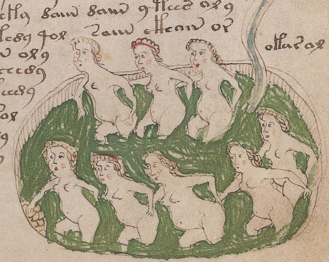 Megalithic12000's tweet photo. There is a book at Yale University that nobody has ever been able to read in 600 years.

It is called the Voynich Manuscript, kept in the Beinecke Rare Book and Manuscript Library, and the vellum it is written on has been carbon-dated to between 1404 and 1438.

The text runs across 240 pages in a flowing script called Voynichese that does not match any known language system or cipher anyone has been able to decode.

🔹600 years unread
🔹Held at Yale as MS 408
🔹240 pages in an unknown script
🔹Carbon-dated to vellum from 1404 to 1438
🔹Drawings of plants never matched to real species

WW2 codebreakers, modern AI systems, and professional linguists have all attempted to crack it across 6 centuries, longer than the printing press has existed.

Not one has produced a translation that holds up under scrutiny.

And what makes this impossible to dismiss is that peer-reviewed statistical analysis shows the text displays properties consistent with a real language, with consistent word frequencies and grammatical patterns that gibberish cannot easily fake.

So somebody, sitting in early 15th-century Europe, wrote 240 pages of something real, in a script nobody has ever cracked, and we still do not know who or why.

What happens to a society when one of its books outlives everyone capable of reading it?