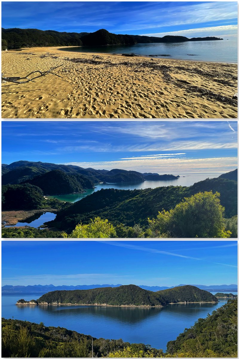 grahamwatson10's tweet photo. Last days of autumn in New Zealand are some of the best days, especially yesterday's walk along the Abel Tasman coast near Nelson... https://t.co/qkHlSDS2CP