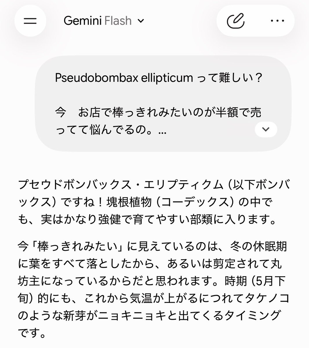 calcal4444's tweet photo. AIに頼っていいと思うの。大事なのはAI使用の可否じゃなくて、AIは道具の一つである、決定権と責任は自分にある、主役は自分である、というのを忘れないことなんじゃない？ と思う私は、30分延々とAIと相談して塊根植物を買っちゃった、ai使いすぎオバサン😆

#ボンバックス https://t.co/yuV3tPIcJO