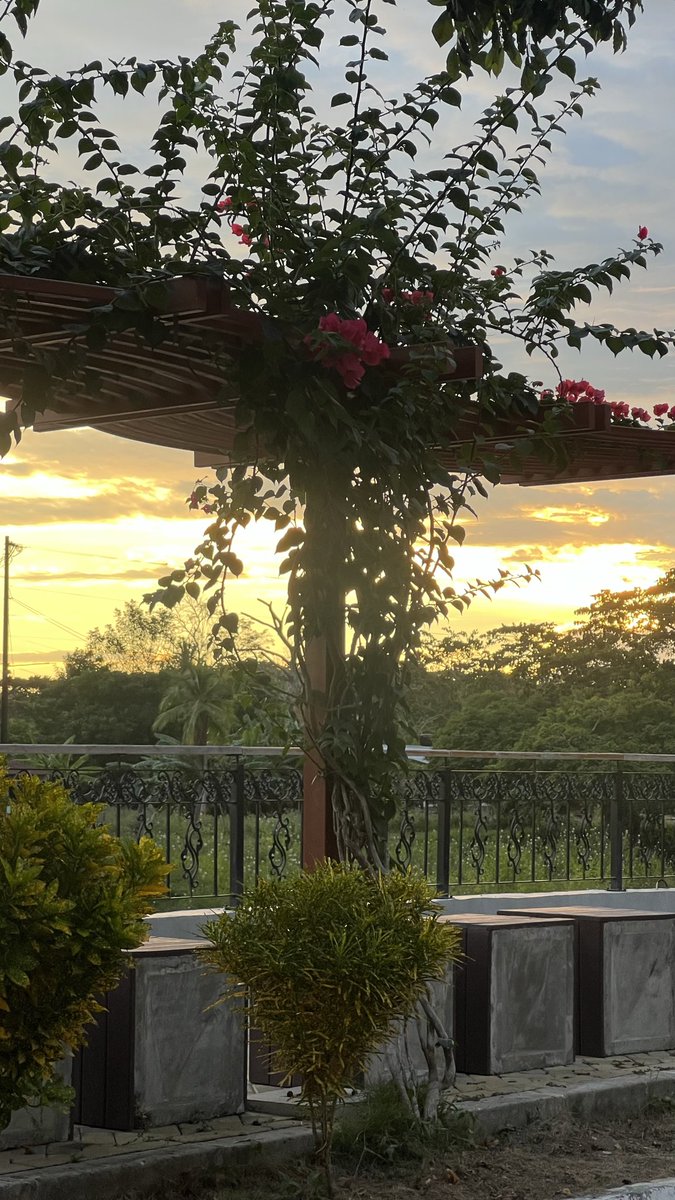 Gardellllll's tweet photo. El cielo de Sucre no necesita filtros cuando el atardecer decide hablar por sí solo. 🌅✨
Colores que abrazan el alma y un paisaje que recuerda lo bonito de nuestra tierra.
📍Sucre — donde cada tarde parece una pintura. https://t.co/h52oyEuJhd