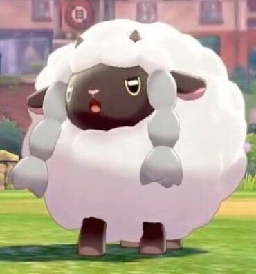 🐑 of 🏠twt tweet media