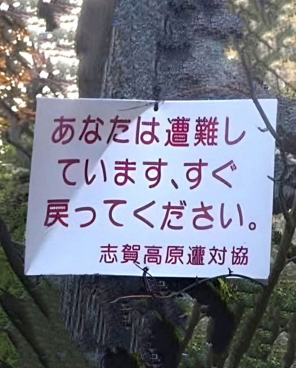 ネットで話題の動画 tweet media