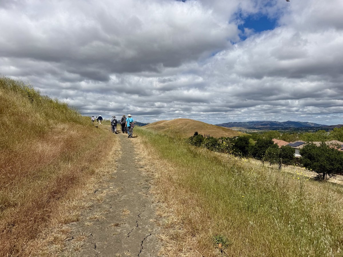 hoppes1949's tweet photo. Out with my Tuesday hiking group for 4.8 miles along the Tassajara Ridge and East Alamo Creek trails. Weather excellent. Good birding with 33 species including Hooded Oriole and California Quail which are always good to see. https://t.co/3BzJXcnCcM