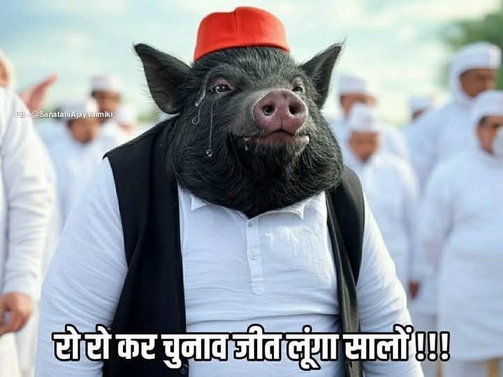 🇮🇳🚩SanataniHindu 🇮🇳🚩 tweet media