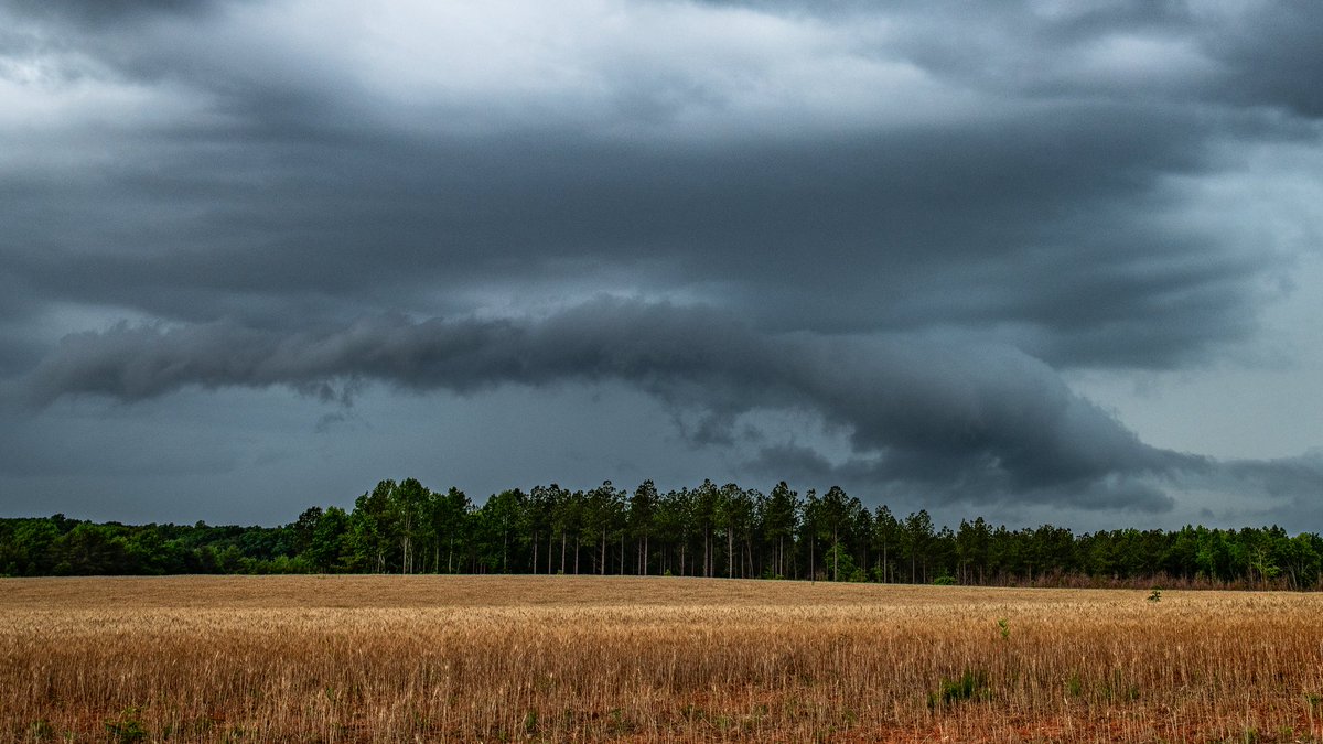 dwaynereaves's tweet photo. Rain and storms this afternoon here in Person County! #ncwx https://t.co/EmbHZy233D