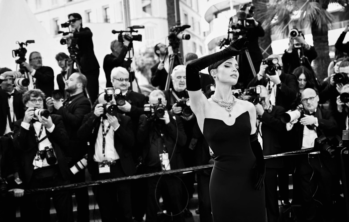 SofiaCarson's tweet photo. Cannes: A Beautiful Whirlwind. . . 
Merci avec mon coeur 🤍 https://t.co/h54jhUMml0
