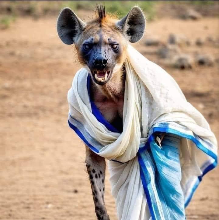 🇮🇳🚩SanataniHindu 🇮🇳🚩 tweet media