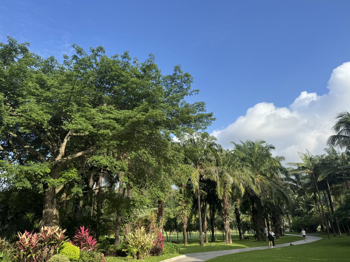 MaiYangAI's tweet photo. #MorningRun #RunningPodcast 
今天早上没有找到合适的播客，把之前的几集讲字节跳动、腾讯，AI 短剧乱翻书剧集听完了。 https://t.co/TvL6WRpV5X