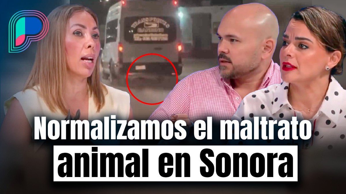 elalbertomedina's tweet photo. 🚨 LAMENTABLE e INDIGNANTE el caso del perro arrastrado por un transporte de personal en calles de #HERMOSILLO...

¿Qué tenemos que hacer para detener el maltrato animal en #SONORA?

Les comparto la mesa de análisis en @ProyectoPuente con las psicólogas @marielmontes1 @lacaritoburgos y el psicólogo @MemoAM.

Click aquí 👇🏻
https://t.co/xl8vYwKZL2