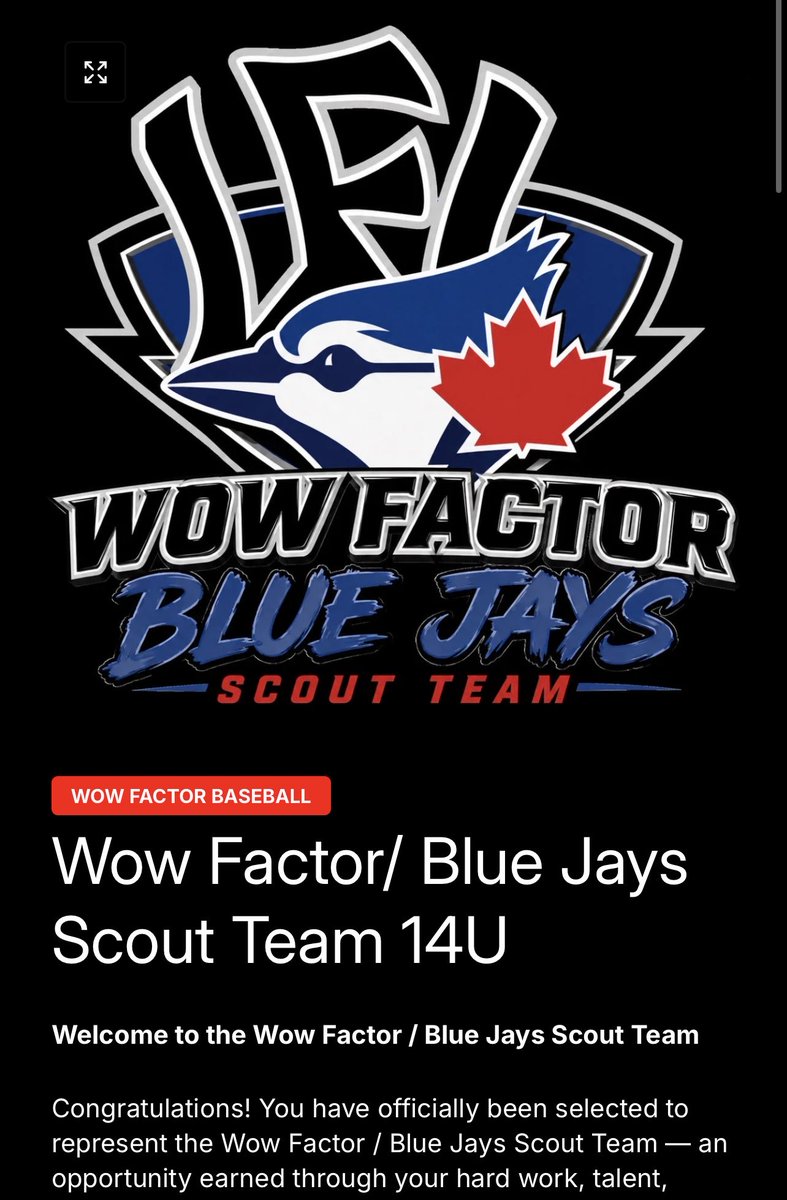 JGoetzBaseball's tweet photo. Who will be part of @WowFactorNation 1st ever 14U Blue Jays Scout team this fall⁉️

Parents of interested 2031’s or young 2030’s DM me for evaluation

#TheBrand https://t.co/7Ap4cilgjR