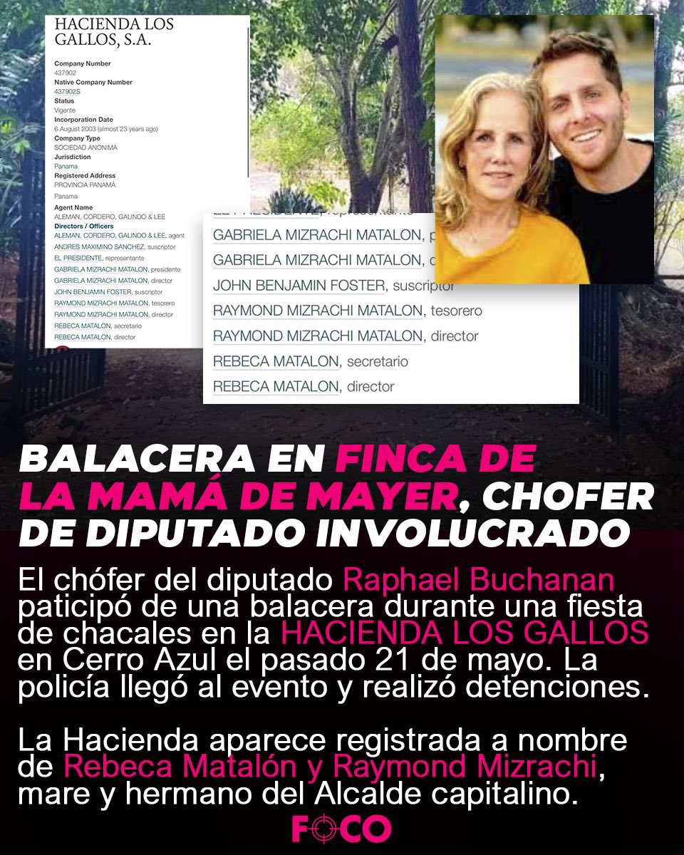 Foco tweet media