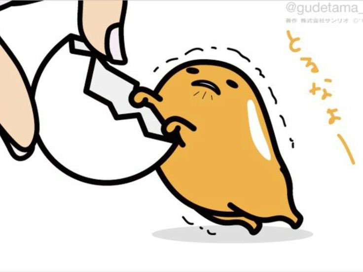 ぷぅ 取引 tweet media