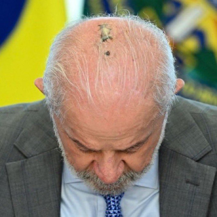 Leopoldina 🇧🇷 tweet media