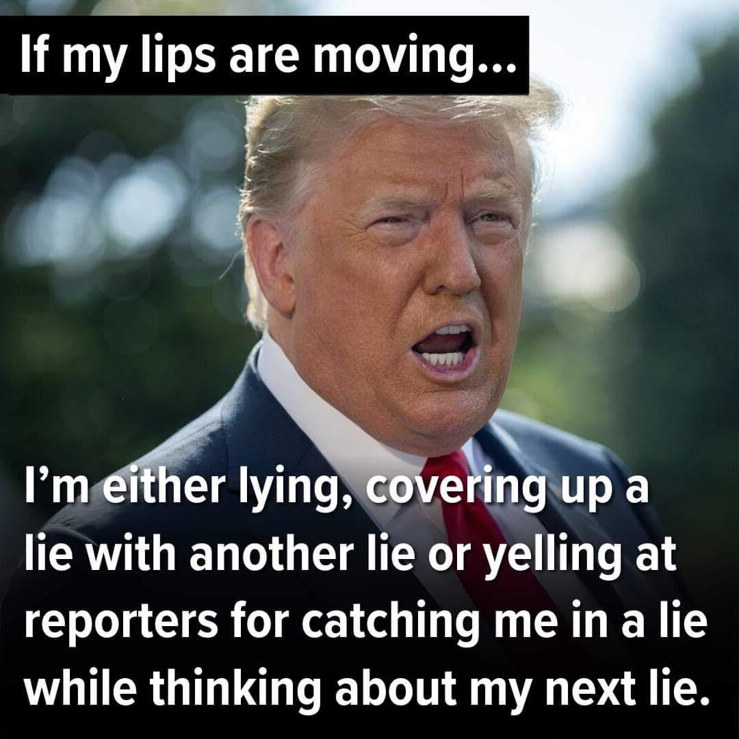 ChrisHealth3's tweet photo. @gmf1369 @theliamnissan @Stevie_Bicks @Dougieg633 @IIKnowIDont @loknloded @jensdad4biden @maura_resister @RealChevyChaste @chrissytiguan @BugattiLugosi @JuliaEstelle11 @THE_JChrysler @bobbykevinny @Buick_Willis @AceVandura @IslandLeX @thechenissan Trump never met a lie he didn’t like https://t.co/2m13W6jAZ2