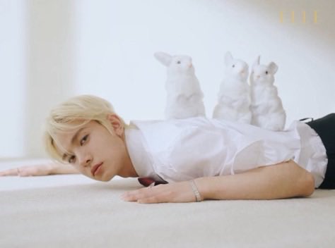 EVAN01ACE's tweet photo. 🐹 vs 🐰 https://t.co/vklBjwKg9A