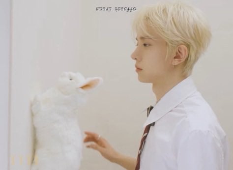 EVAN01ACE's tweet photo. 🐹 vs 🐰 https://t.co/vklBjwKg9A