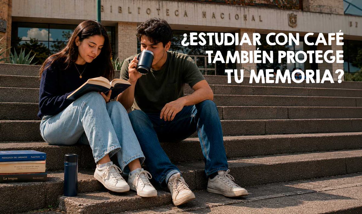 Gaceta_UNAM's tweet photo. ¿Estudiar con café protege tu memoria?

En este artículo de @unamglobal te explicamos qué dice la ciencia sobre los beneficios del consumo de esta bebida.

https://t.co/63nPFhZi9r https://t.co/PL4MfIKFoB