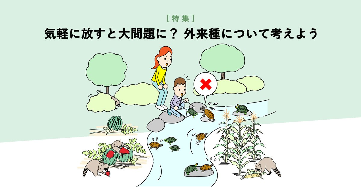 特集 気軽に放すと大問題に?外来種について考えよう \ 外来種とは、もともとその地域にいなかったのに、人の活動によってほかの地域から入ってきた ...