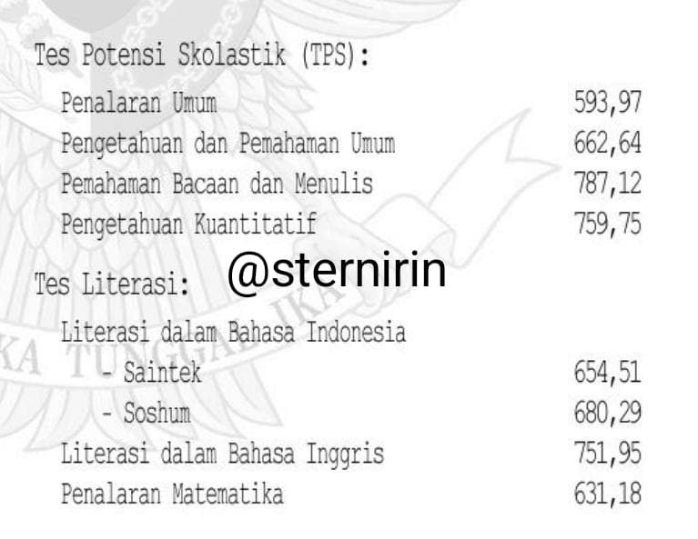 irin tweet media