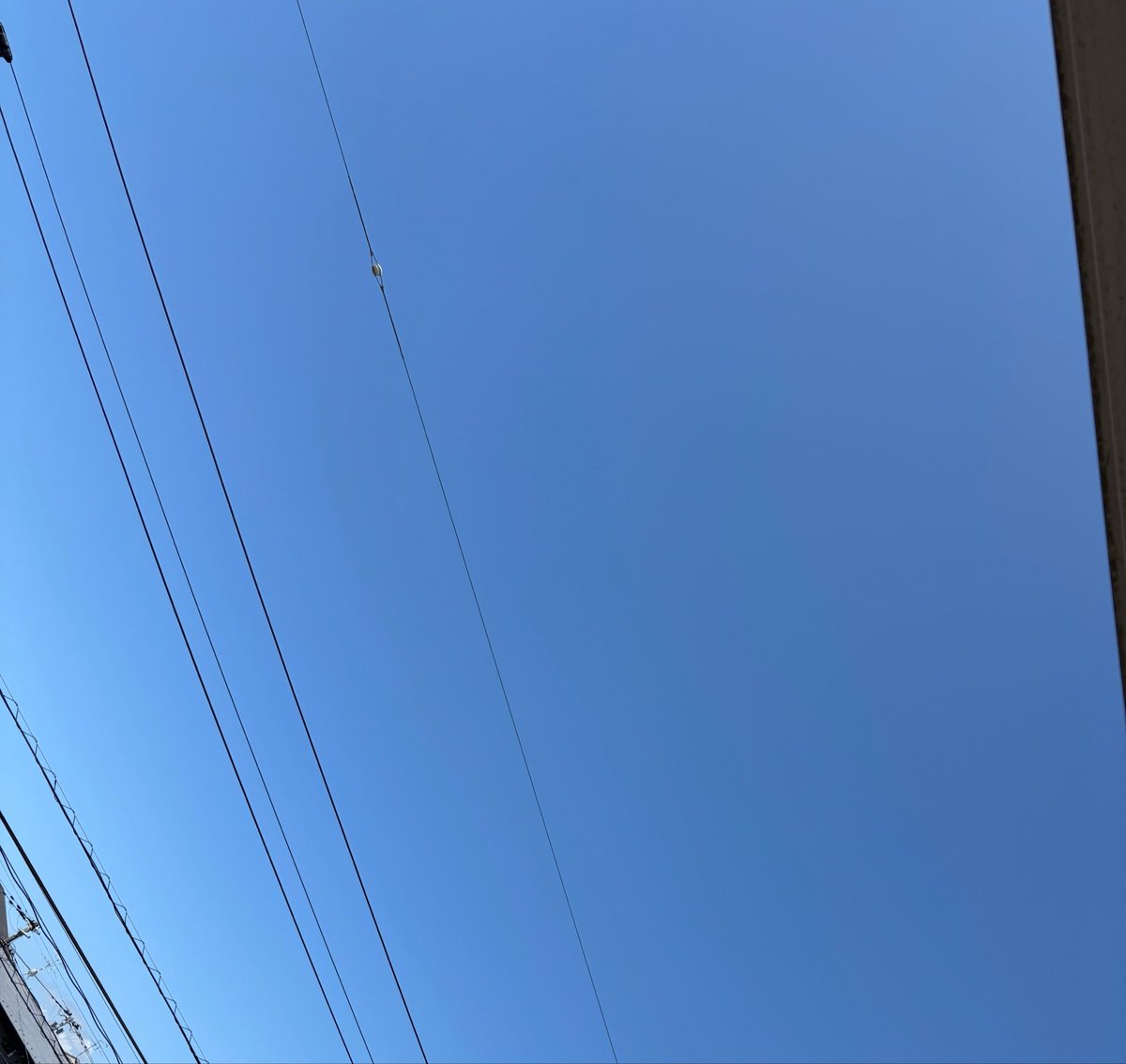 _____smap0507's tweet photo. ひろくん💙おはよう
晴れ渡る空
濃いブルー
綺麗だね
正広 元気ですか?
心配は ふえていく😭
笑顔でいてね
#中居くん大好き
#あの子たち
#sixmap https://t.co/g0tuERupJl