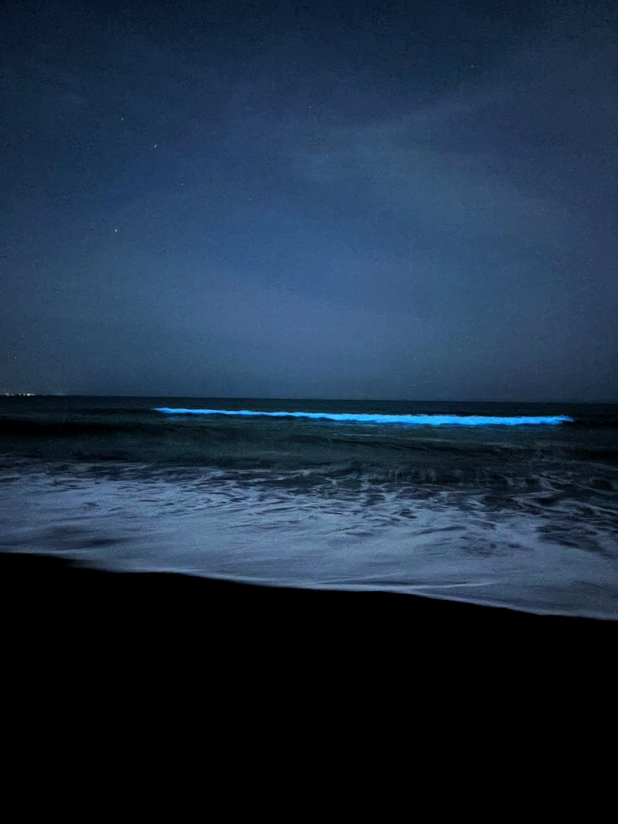 chiikohi's tweet photo. 2026.5.25
茅ヶ崎西浜にて夜光虫を撮影出来ました〜🎵🙌

#夜光虫
#海
#茅ヶ崎 https://t.co/8KF1eKypKY