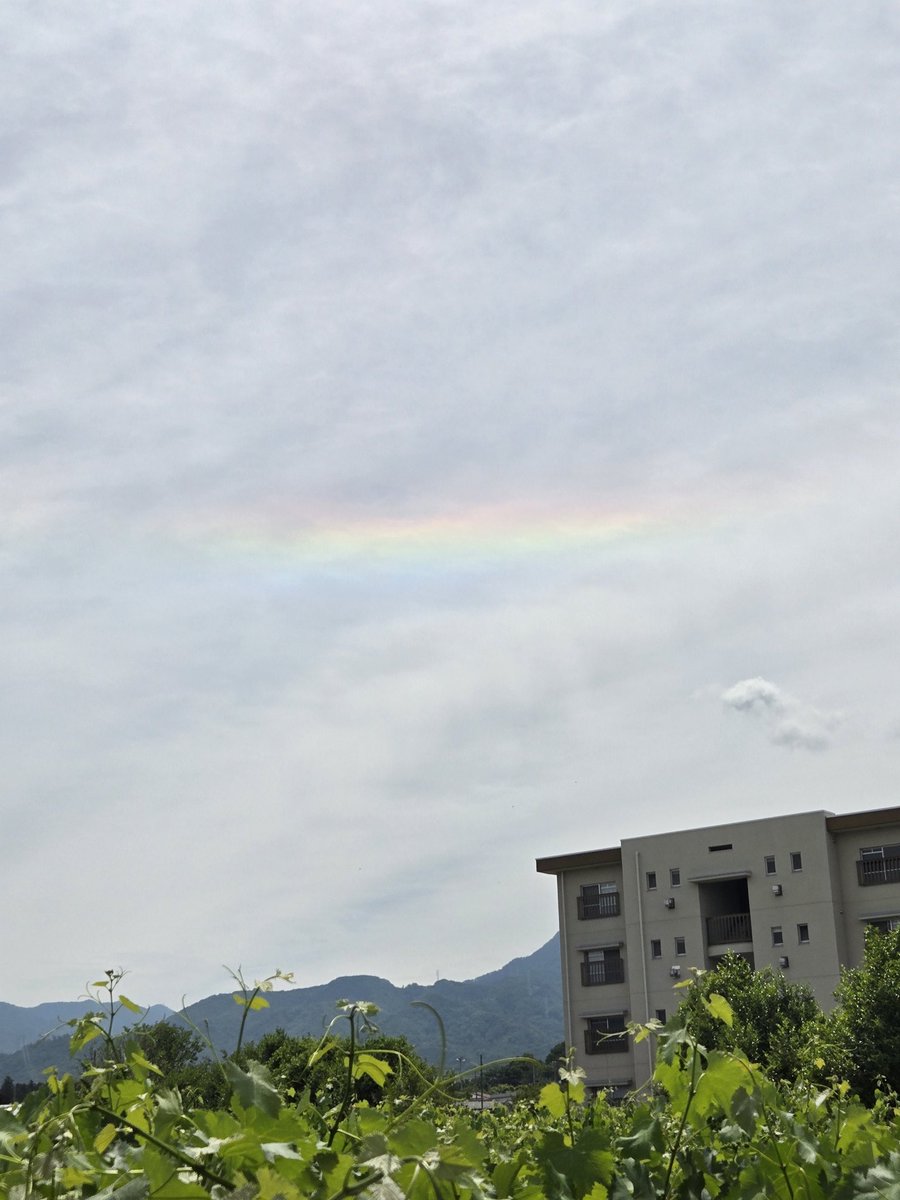 ndenechan's tweet photo. ベニカミキリ発見👀！！
彩雲も発見👀！！🌈
新しい🐦‍⬛避け
そして、今日の巨峰🍇 https://t.co/7iO2PKu2tD
