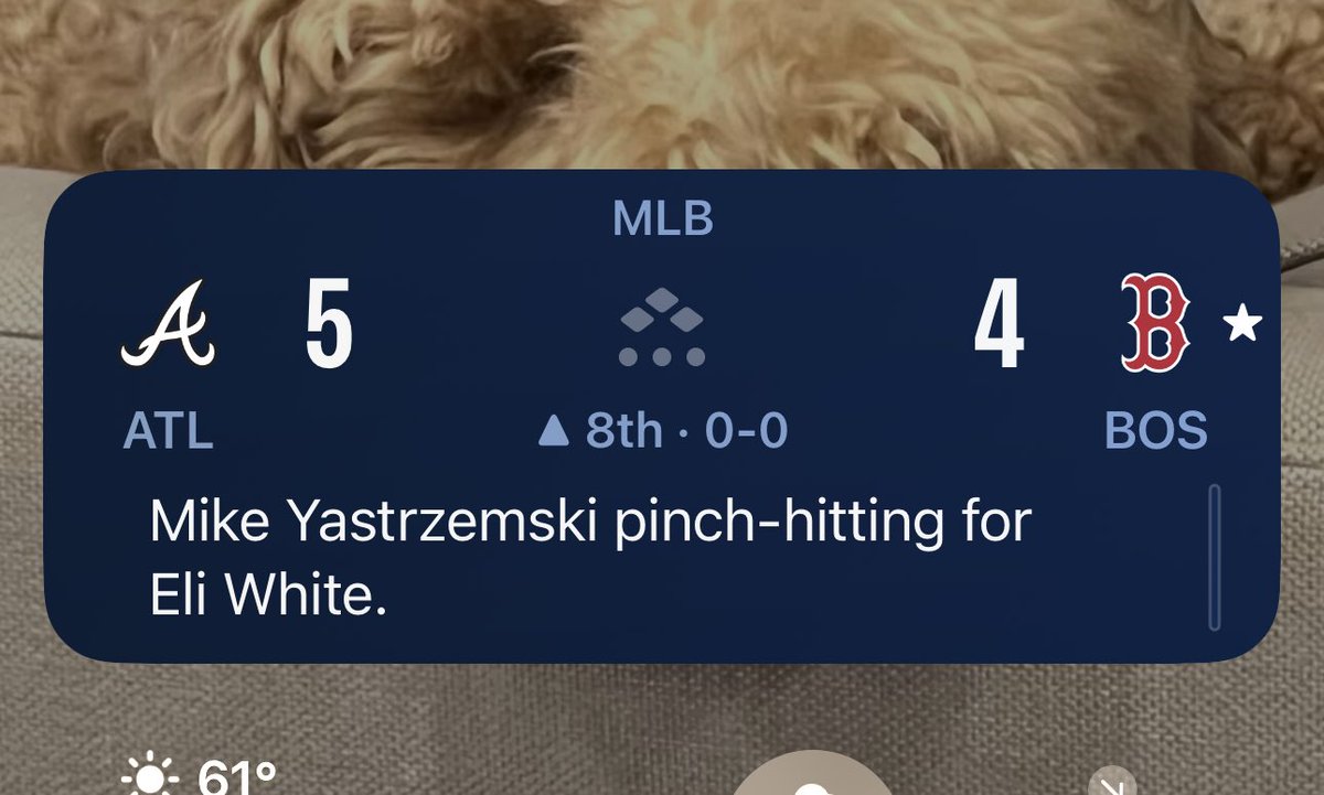 FrankFite's tweet photo. As a lifelong Red Sox fan for 60 years, I’m never going to get used to this. But as Vandy alum, I totally approve. 😅 https://t.co/qS0CcB15oH