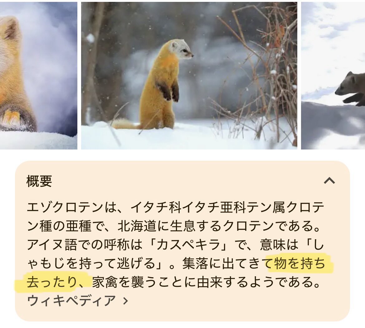 yubimoto_arc's tweet photo. ふぉぜ菊、エゾクロテンで確定だったりする？

（なお、鹵獲するのはナガンではなくおしゃもじの模様） https://t.co/uKhSPpJB54