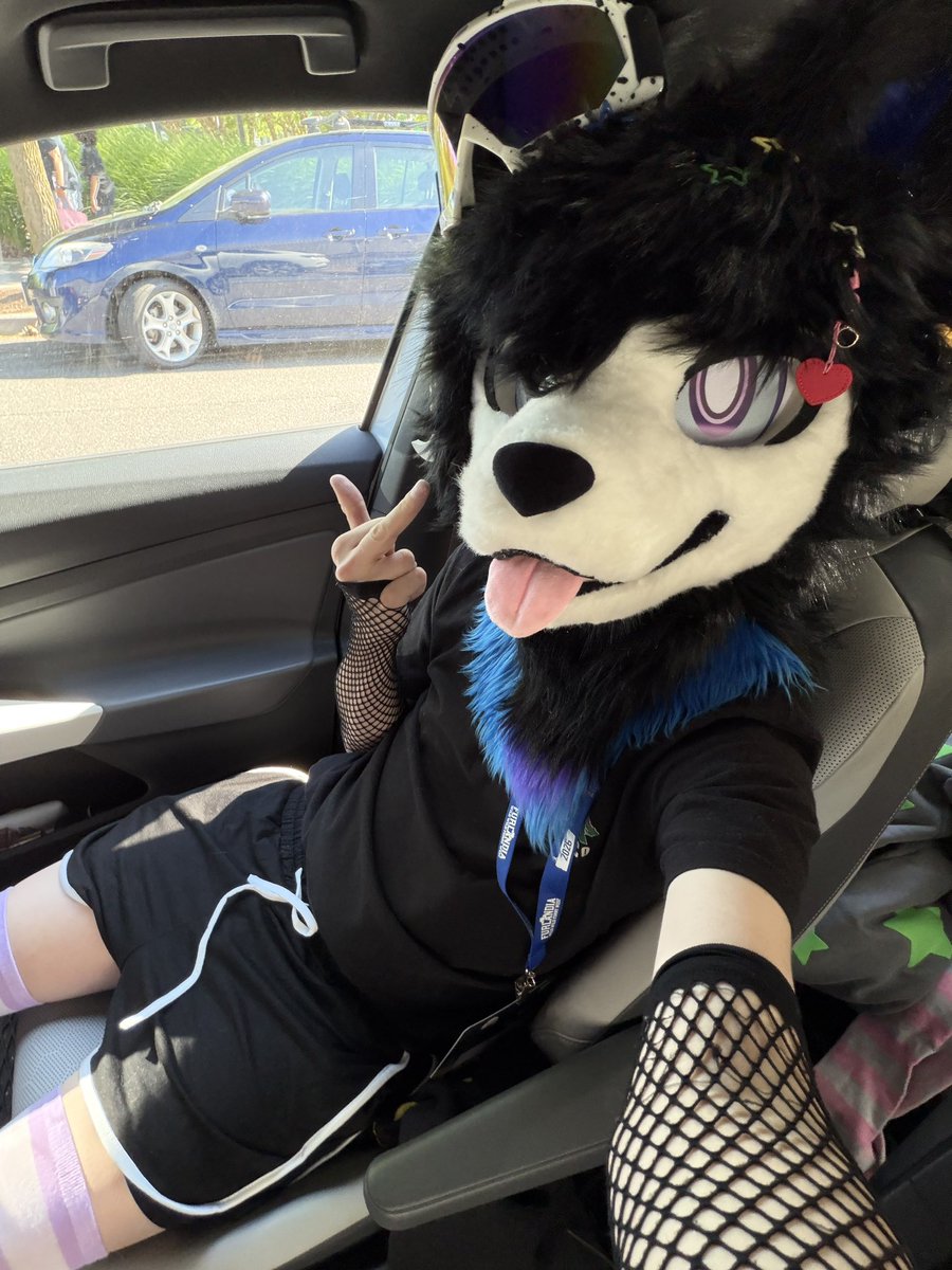 Shadow ⛧ (@ForestDoggo) / Posts / X