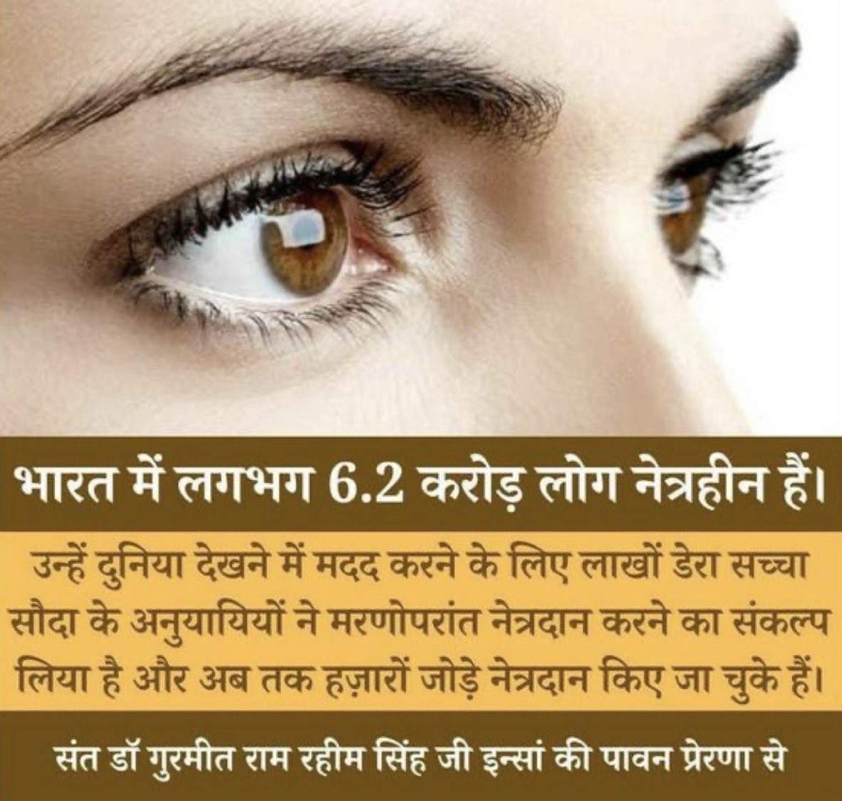 soniarani279's tweet photo. आँखें जीवन का एक अनमोल उपहार हैं, जिनसे हम दुनिया की सुंदरता देख पाते हैं। जो लोग अंधेरे में जीवन जी रहे हैं। पूज्य गुरुजी Saint Gurmeet Ram Rahim Ji की शिक्षाओं से प्रेरित होकर डेरा सच्चा सौदा के लाखों अनुयायियों ने मृत्यु के बाद नेत्रदान का संकल्प लिया है।
#SpreadTheVision https://t.co/8HtcawJocM
