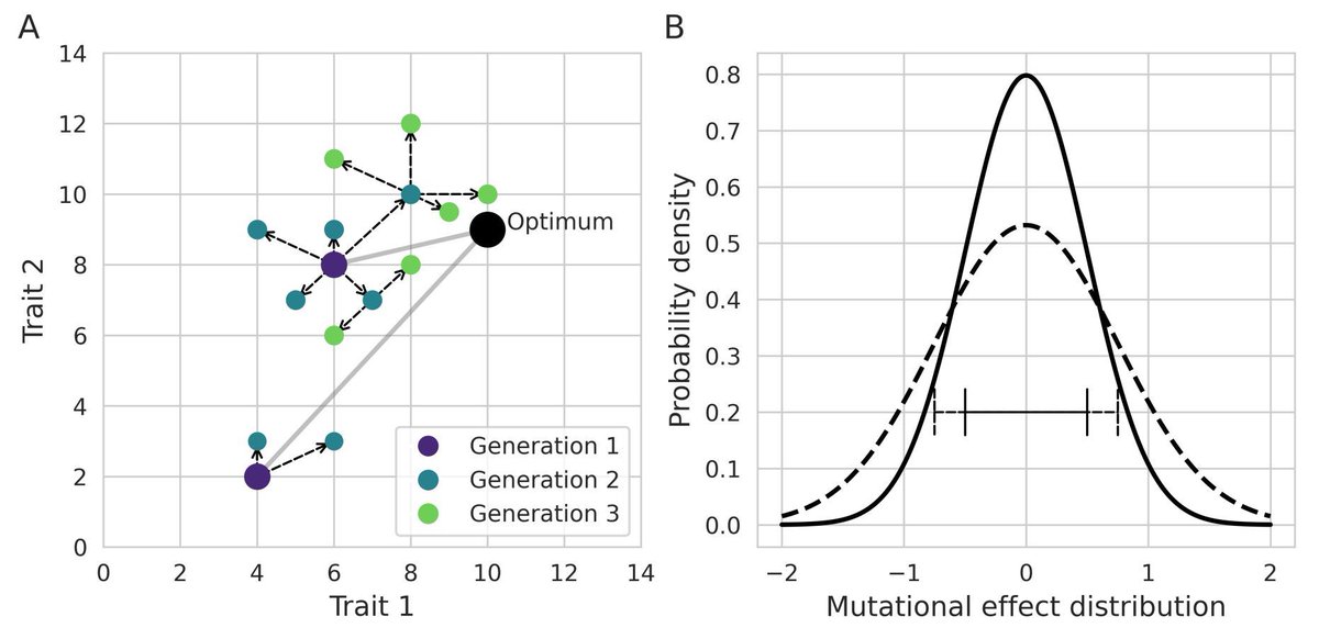 ecoevorxiv's tweet photo. Towards a standard model for teaching the process of biological evolution. DOI: https://t.co/5c1iXsLJ3s https://t.co/QMOFSk7z0P
