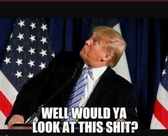 Silence Dogood 𝕏 🇺🇸 tweet media
