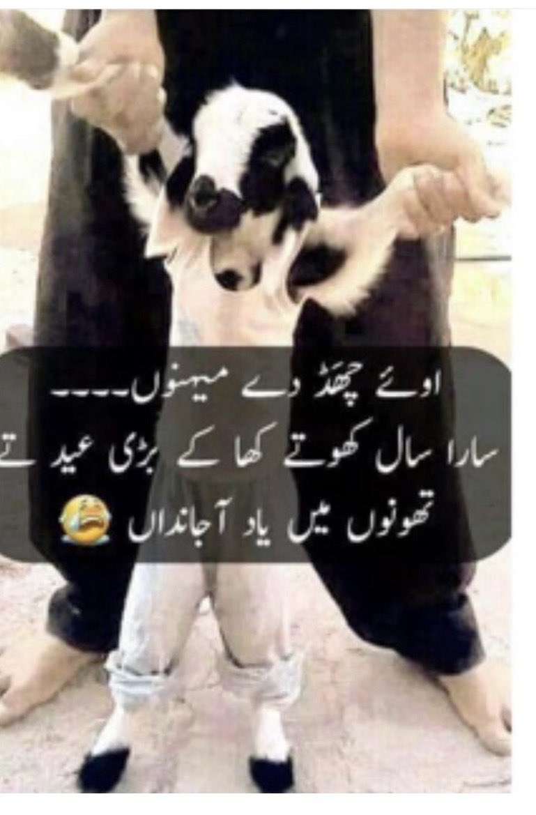 🇵🇰انیسہ (ایک حسینہ)🇺🇸 tweet media