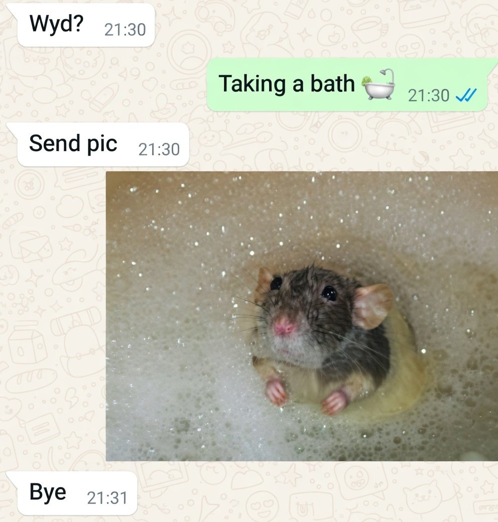 Rats tweet media