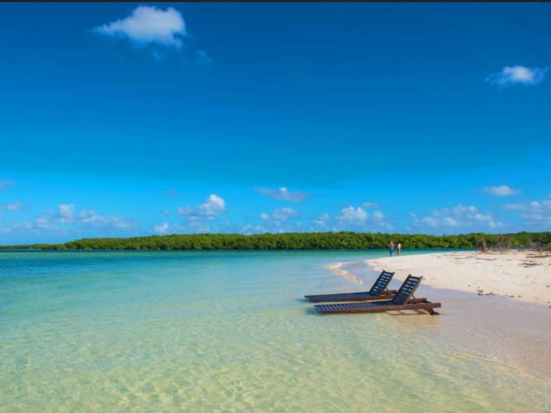 XInfotur's tweet photo. 😌 Arena blanca, agua tibia y un sol que acaricia. Así se vive Cayo Santa María… sin prisa y sin estrés. INFOTUR es #TuPrimerPasoEnCuba 😎 📲 https://t.co/JI8IILZ4J6

#InfoturCuba #CubaUnica #TuPrimerPasoEnCuba https://t.co/yvM0KLpKMD