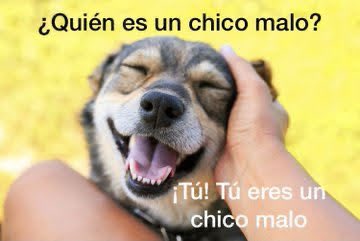 DIEGO NC tweet media