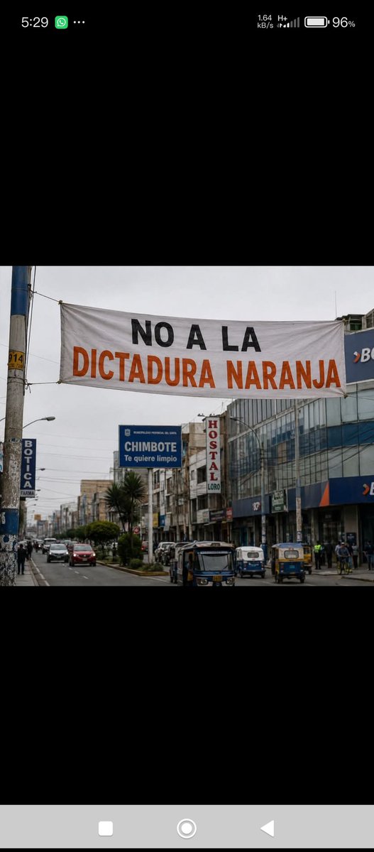 carlos D tweet media