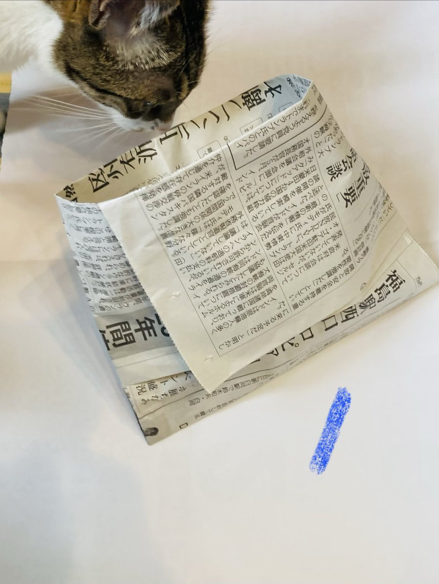 めこめこ tweet media