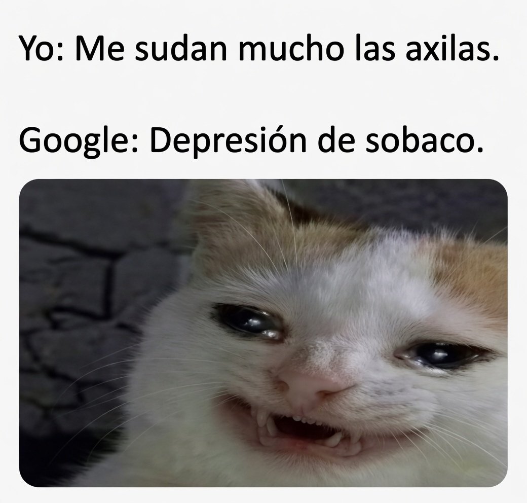 JMustafá tweet media