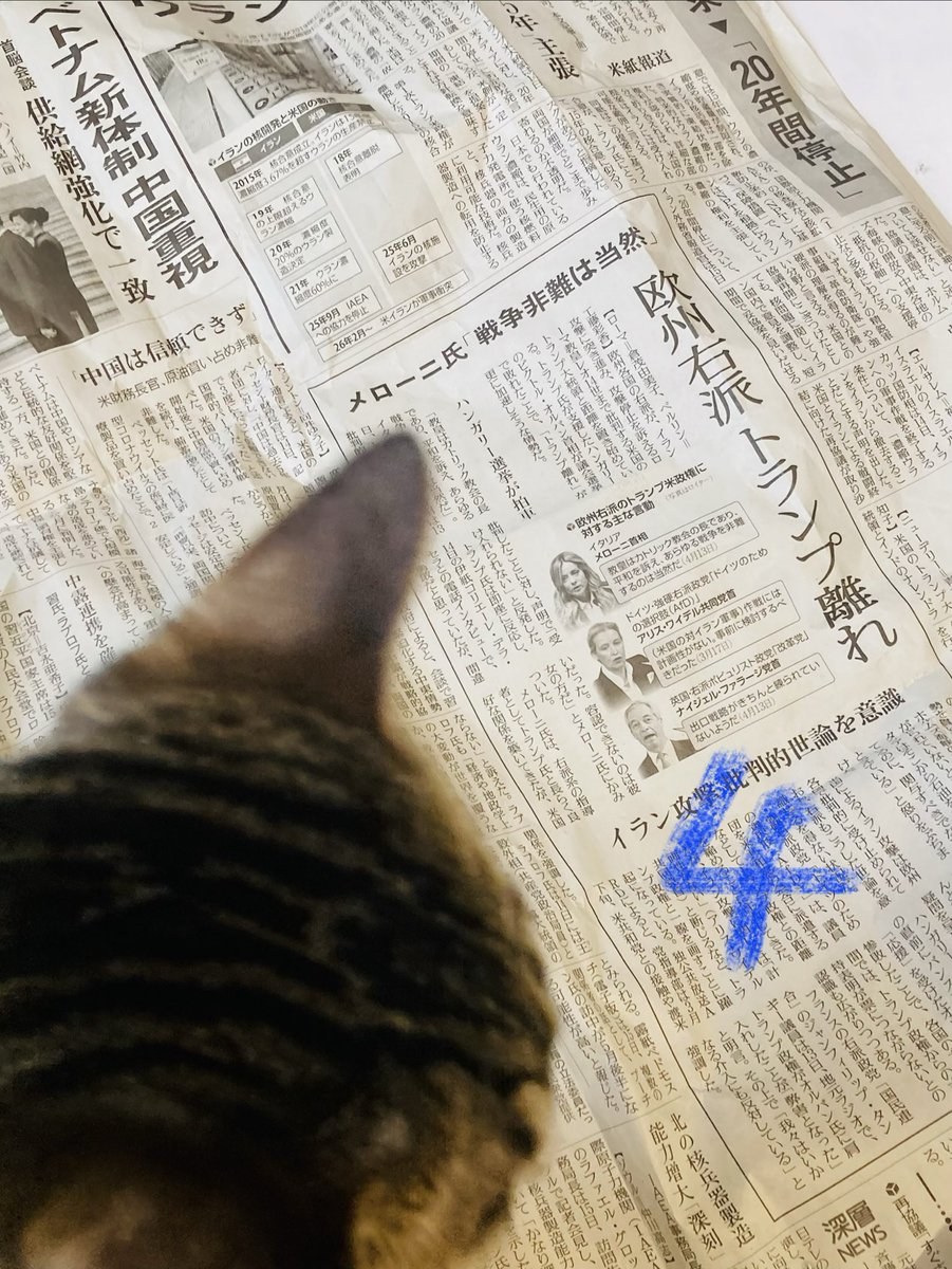 めこめこ tweet media