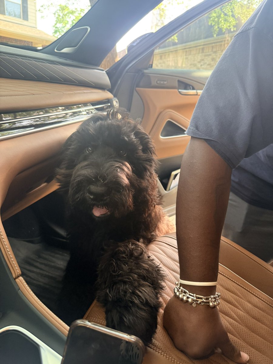 DocOfHighHopes's tweet photo. @PrincipalAuntie Please send me the info. His cousin, Zulu, needs to be dropped off! https://t.co/2RM0S9H2sq